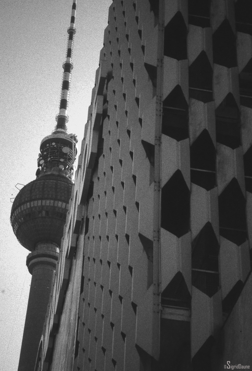architecture_berlin021.jpg